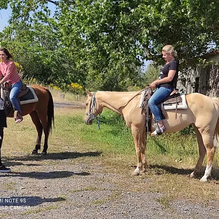 Hotel Tenuta Terradifuoco